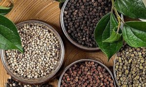 Tiêu trắng được làm ra như thế nào và vì sao đắt hơn tiêu đen